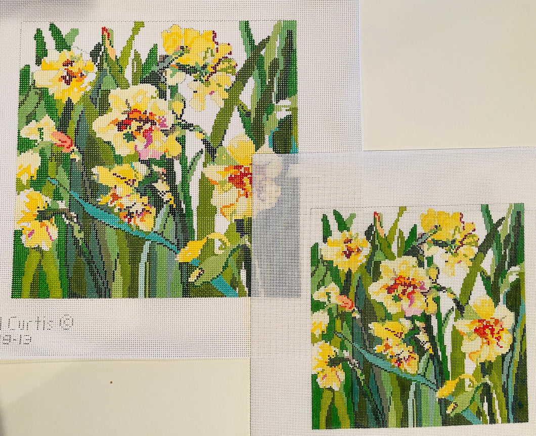 Daffodils 18 mesh