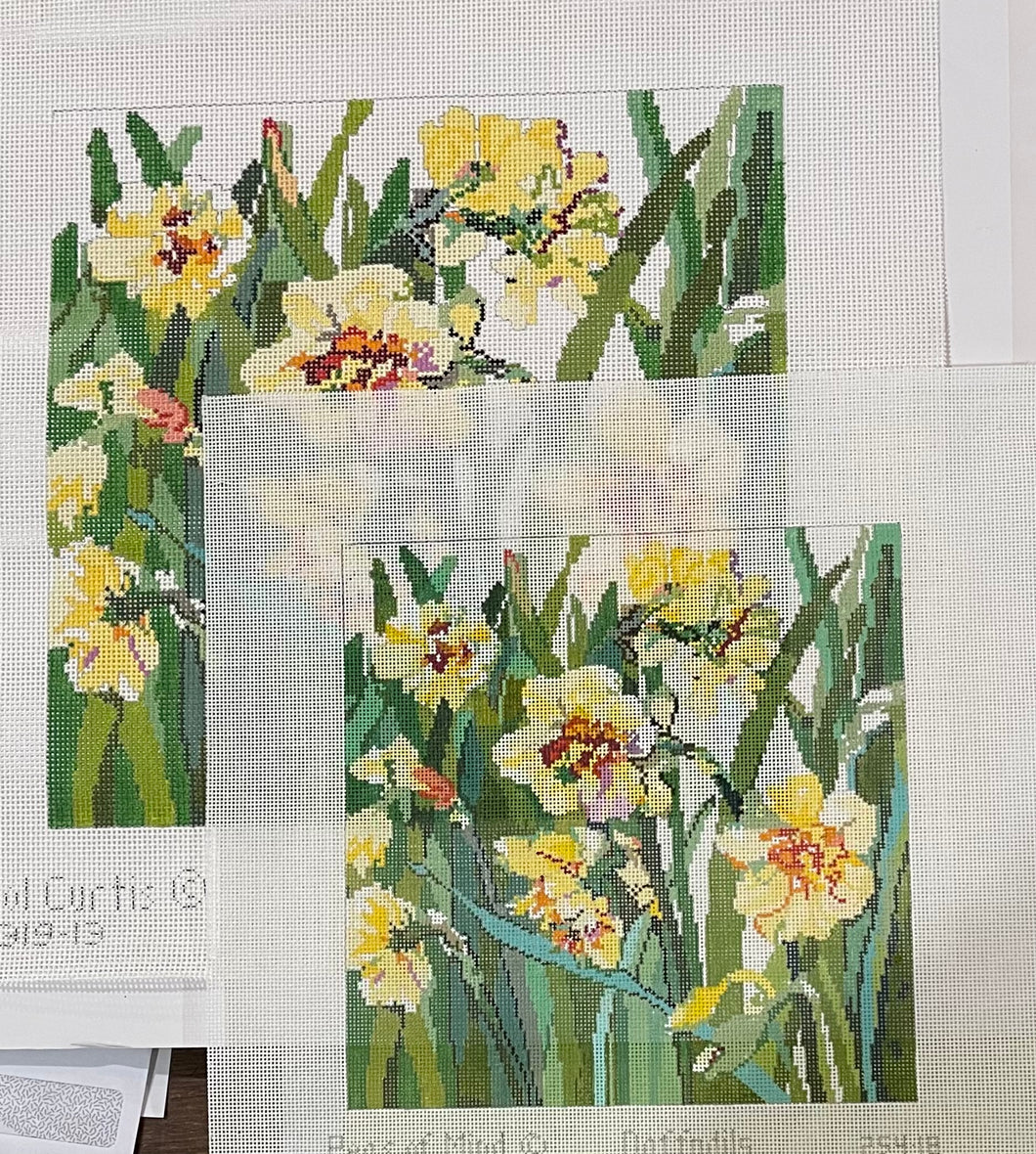 Daffodils  13 mesh